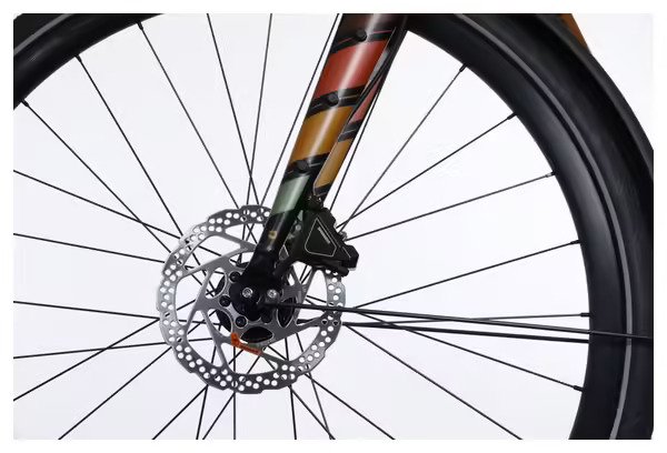 Vélo de Ville Électrique Bergamont E-Sweep Sport Shimano Claris 8V Mahle 250Wh Orange – Vélo d’Exposition / Très bon État