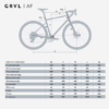 Capture d’écran du 2026-07-17 21-56-44 Vélo gravel SRAM Apex AXS 1x12v, GRVL AF Noir