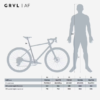 Capture d’écran du 2026-07-17 21-56-57 Vélo gravel SRAM Apex AXS 1x12v, GRVL AF Noir