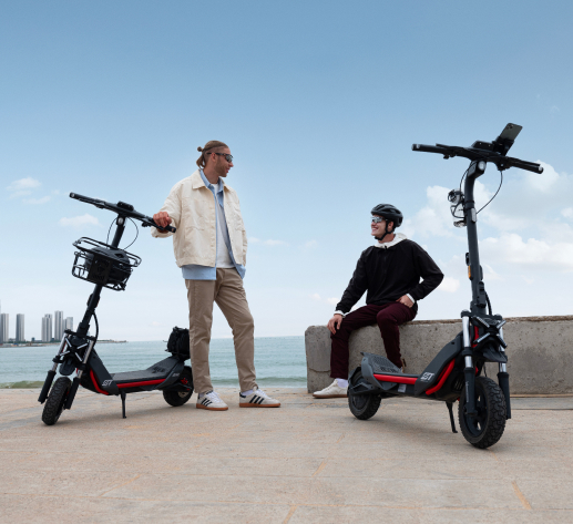 Segway eKickScooter ZT3 Pro E
