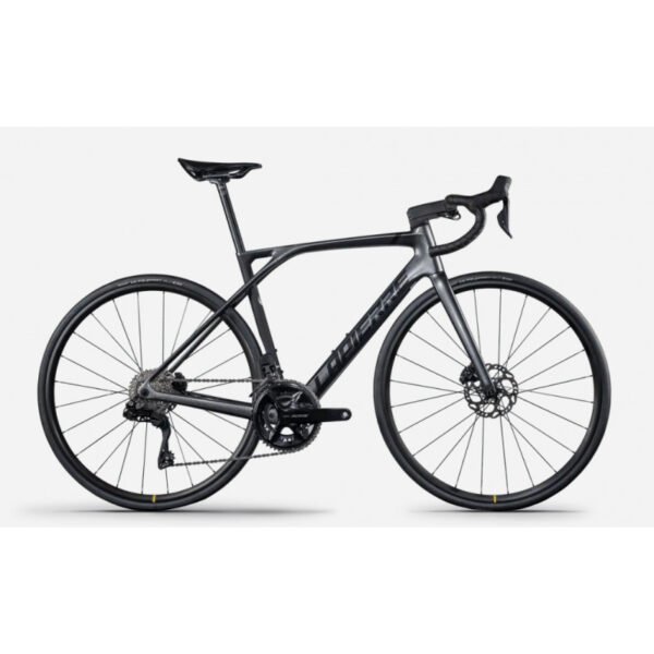 XELIUS SL 5.0 2024