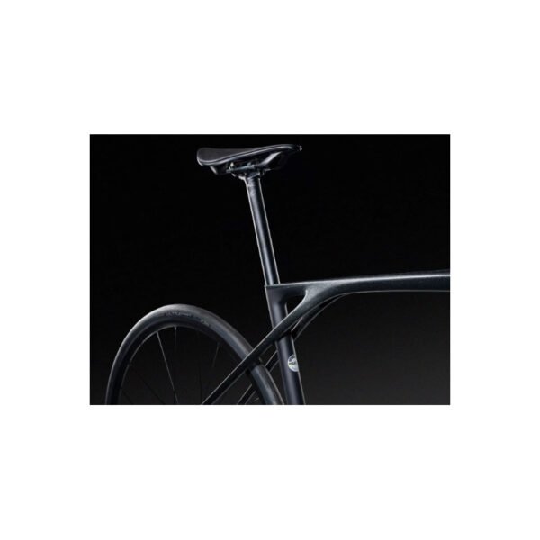 XELIUS SL 5.0 2024